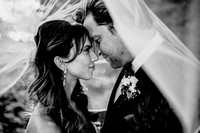 Allie & Sean Wedding-photos (ALL IMAGES)